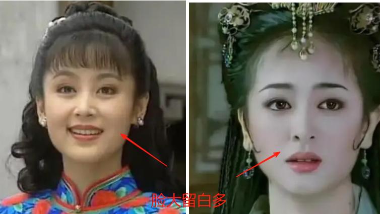 脸大如何变美_大脸美女气质中年女星_中国中年女明星