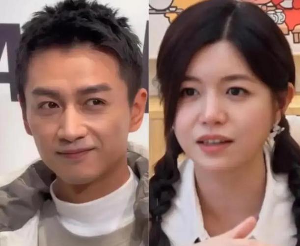 '娱乐圈c姓人夫'惨遭群嘲！陈晓离婚撕破脸，陈思诚新片口碑逆袭