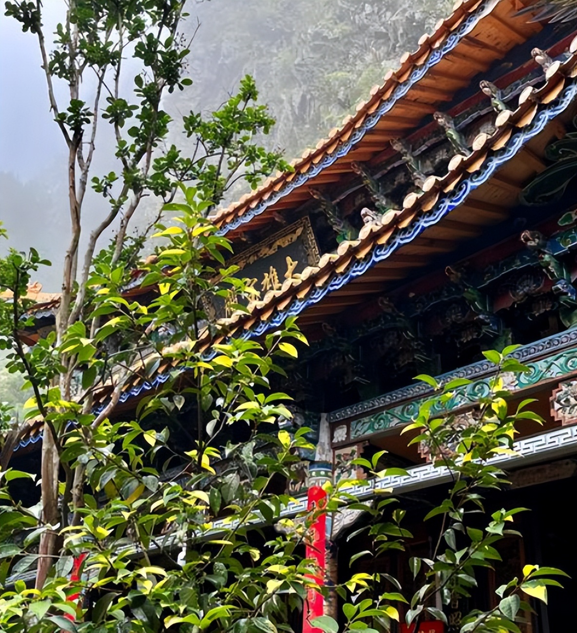 寺庙女网红经历_网红的黑料网站有哪些,_寺庙方丈安全提醒